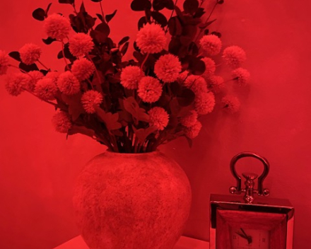 The Ultimate Zen Experience 